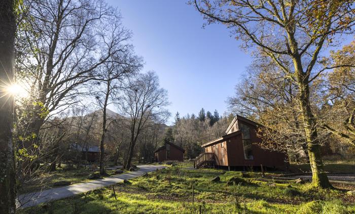 A cabin amongst the trees at Beddgelert, Eryri